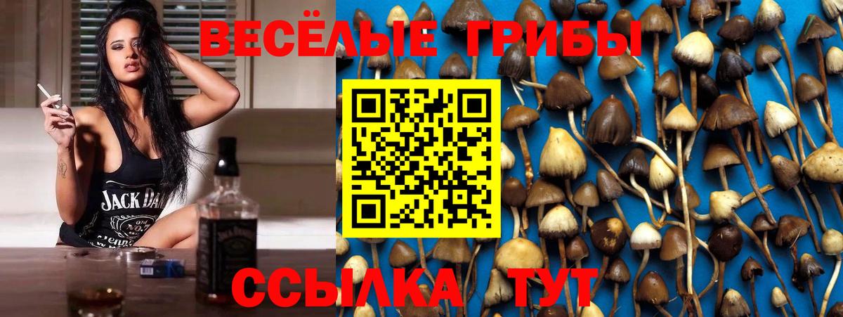 Галлюциногенные грибы MAGIC MUSHROOMS Балабаново